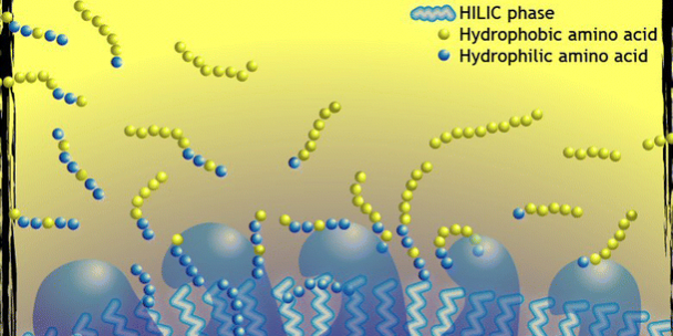 216_2008_1865_Figa_HTML