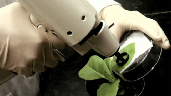 gene-gunn-pe4zitfrzozqtkfv85zq5xht6vsyavpqil7t4s1x2g