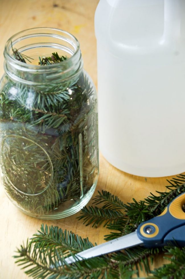 Pine-Vinegar-Homemade-Kitchen-Cleaner_edited-1-678×1024