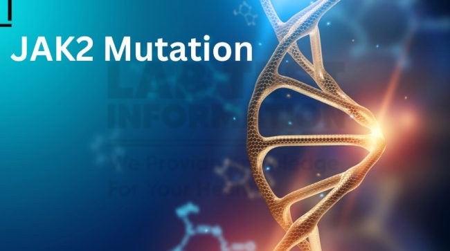 Creative-Modern-Medical-Business-Card-6