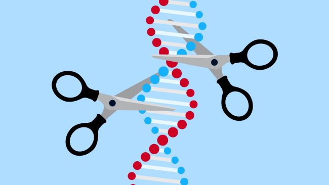 Genome_Editing_Techniques
