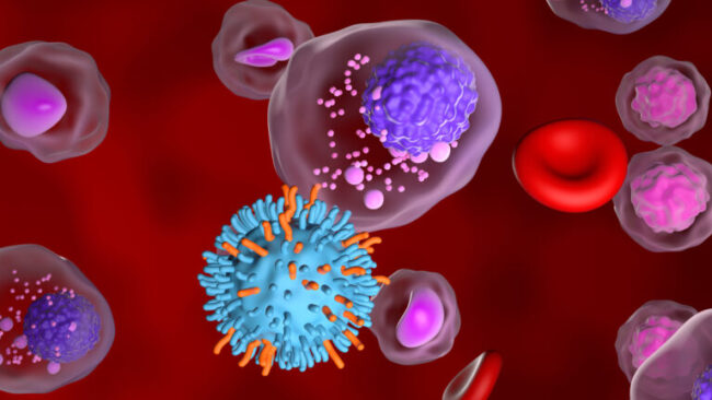 AdobeStock_770378237-768×432