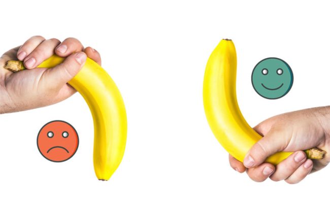 ED_1100x733-768×512