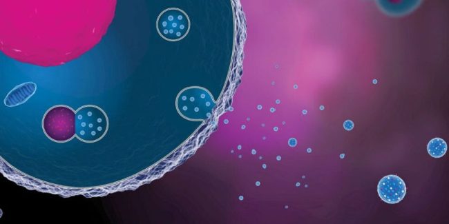 exosome-1024×723-2-945×472