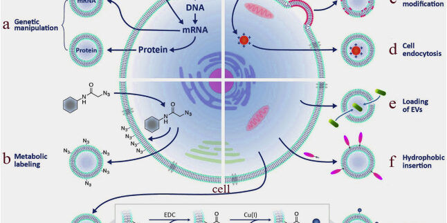 1-s2.0-S022352342030756X-gr4