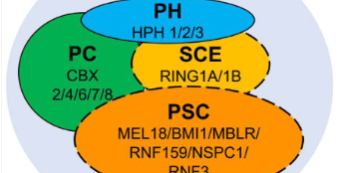 Screenshot 2025-02-24 220621