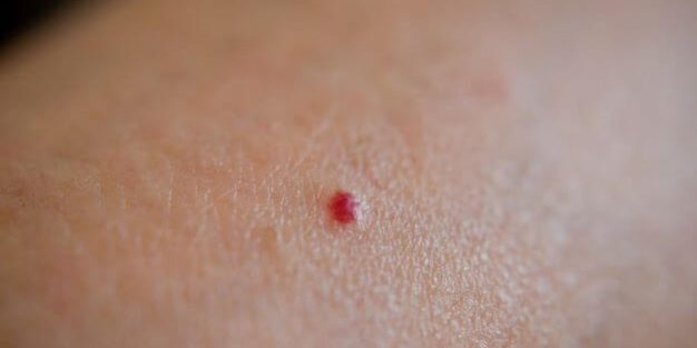 AdobeStock_221240842_resized