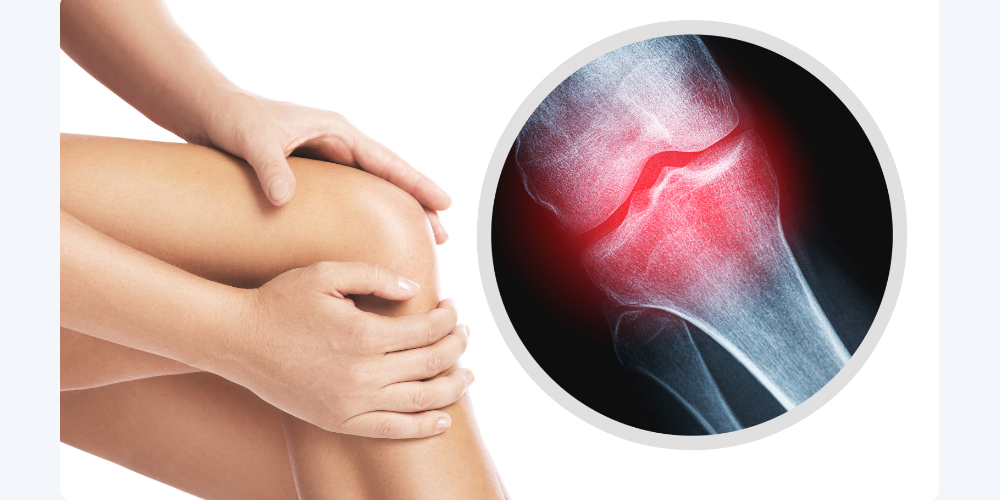 d71c40c8-1ce3-4efb-8833-8c323044338e