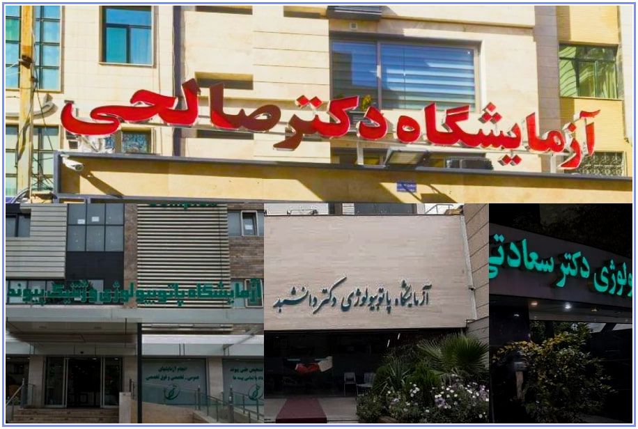 انجام آزمایش‌های پزشکی و چکاپ‌های دوره‌ای یکی از مهم‌ترین اقدامات برای حفظ سلامت است. انتخاب یک مرکز معتبر و باسابقه، می‌تواند کیفیت نتایج و سرعت تشخیص را تضمین کند. در شهری مانند شیراز که به‌عنوان قطب درمانی جنوب کشور شناخته می‌شود، مراکز آزمایشگاهی متعددی فعالیت می‌کنند. در این مقاله ۱۰ مورد از بهترین آزمایشگاه‌های خصوصی شیراز معرفی می‌شوند که در صدر آن‌ها، آزمایشگاه دکتر صالحی جایگاهی ویژه دارد.