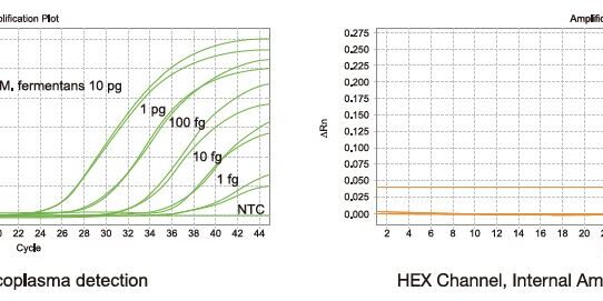 BioMycoX Mycoplasma qPCR Detection Kit Performance